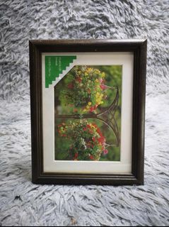 (Category: ) located in . Submitted by jmy_surplus.2 (Listing ID 1366259619, Image 1). Description: .