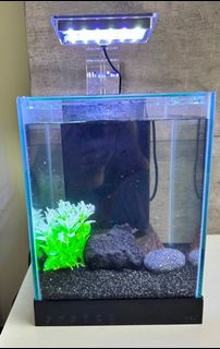 (Category: ) located in . Submitted by goahead19 (Listing ID 1361690275, Image 1). Description: .