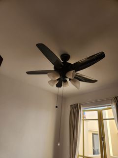 (Category: ) located in . Submitted by aj9777 (Listing ID 1361761646, Image 1). Description: .