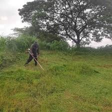 Grass cutting lawn mower64884979075969111