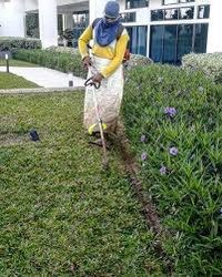 Grass cutting lawn mower64884979075969110