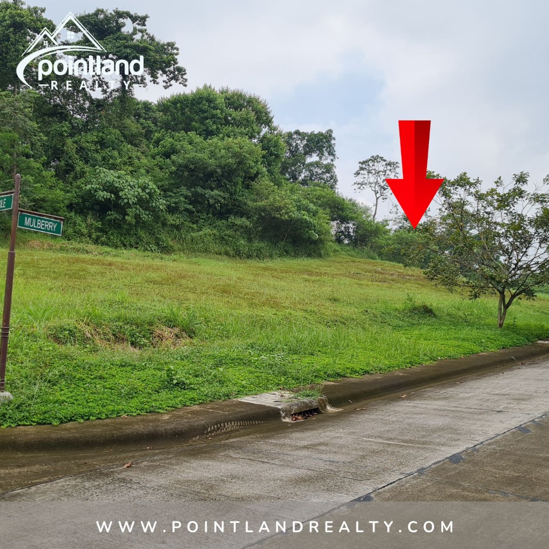 (Category: ) located in . Submitted by pointland.realty (Listing ID 1361744137, Image 1). Description: .