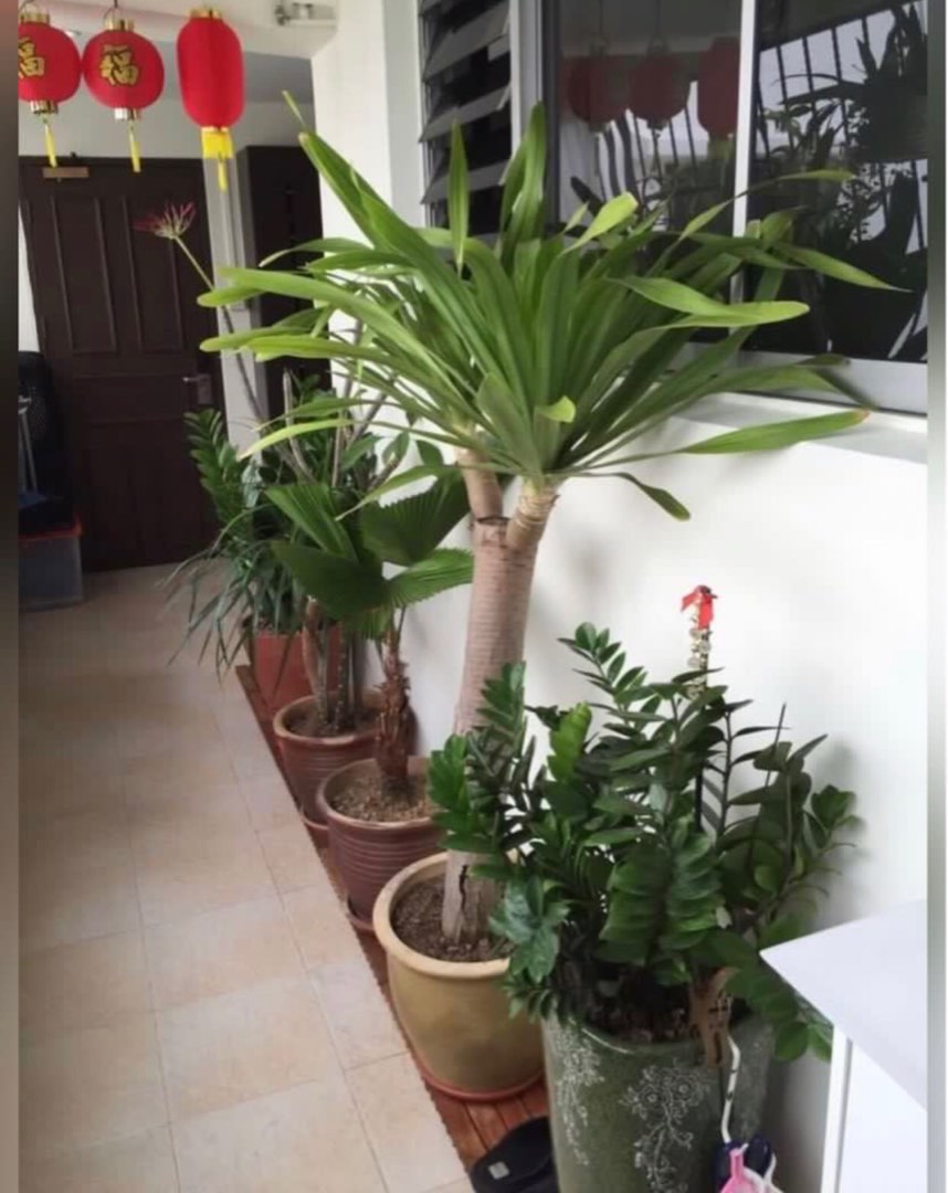 (Category: ) located in . Submitted by je_je (Listing ID 1366510401, Image 1). Description: .