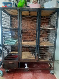 (Category: ) located in . Submitted by freemansurplus (Listing ID 1366414179, Image 1). Description: .