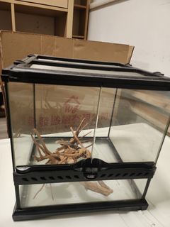 （分類：）位於 。 由 chankimkee 提交（商品編號 1366504693，圖片 1）。簡介： 。