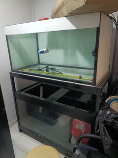 (Category: ) located in . Submitted by johnsonwangkangyong (Listing ID 1366450721, Image 1). Description: .