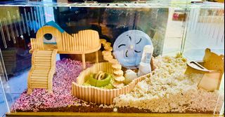 (Category: ) located in . Submitted by hammielim (Listing ID 1366419386, Image 1). Description: .