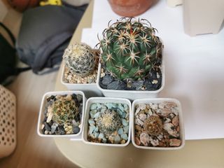 （分類：）位於 。 由 egg1985 提交（商品編號 1361850371，圖片 1）。簡介： 。