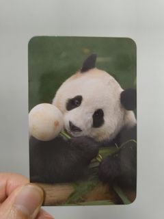 （分類：）位於 。 由 ohg17 提交（商品編號 1361892490，圖片 1）。簡介： 。