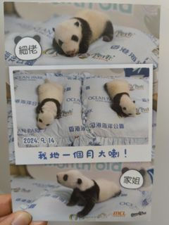 （分類：）位於 。 由 ohg17 提交（商品編號 1361892722，圖片 1）。簡介： 。