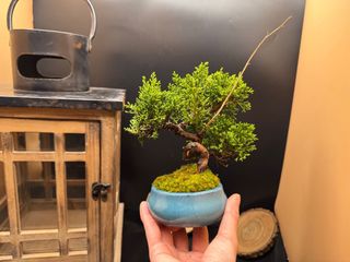 （分類：）位於 。 由 monkeyboy888 提交（商品編號 1361901865，圖片 1）。簡介： 。