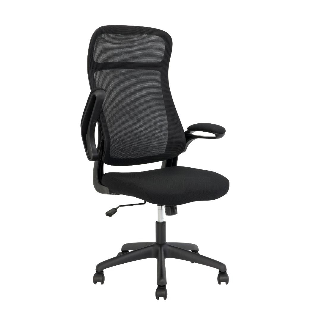 Ergodynamic EHC-210/AIRFLEX Executive Premium High-back Mesh Chair ...