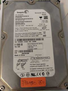 Hard Disk SATA 250GB硬盤