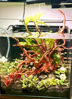 (Category: ) located in . Submitted by zaquaria (Listing ID 1360222812, Image 1). Description: .