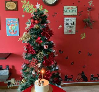 (Category: ) located in . Submitted by heshz (Listing ID 1362069013, Image 1). Description: .
