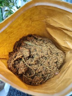 （分類：）位於 。 由 joteo 提交（商品編號 1362034498，圖片 1）。簡介： 。