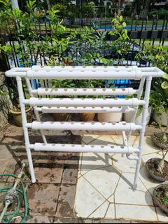 (Category: ) located in . Submitted by plantupsg (Listing ID 1362012801, Image 1). Description: .