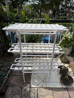 (Category: ) located in . Submitted by plantupsg (Listing ID 1361969365, Image 1). Description: .
