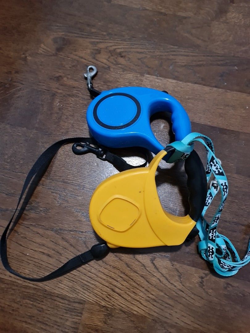 Leash (Category: Homes & Other Pet Accessories) located in Singapore. Submitted by hammylands (Listing ID 1362104513, Image 1). Description: For small dog.