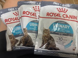 （分類：）位於 。 由 amechan 提交（商品編號 1362101860，圖片 1）。簡介： 。