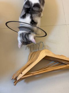 （分類：）位於 。 由 lcheukyin 提交（商品編號 1362260307，圖片 1）。簡介： 。