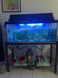 (Category: ) located in . Submitted by johnmelvin666 (Listing ID 1362213671, Image 1). Description: .