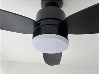 (Category: ) located in . Submitted by aq737 (Listing ID 1362156546, Image 1). Description: .