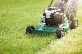 Lawn trim64884979922945110