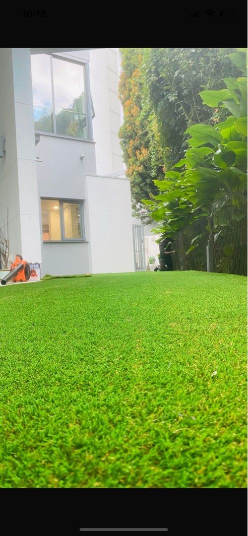 Lawn trim64884979922945111