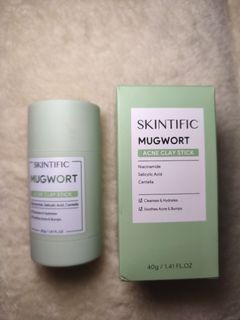SKINTIFIC Mugwort Acne Clay Stick