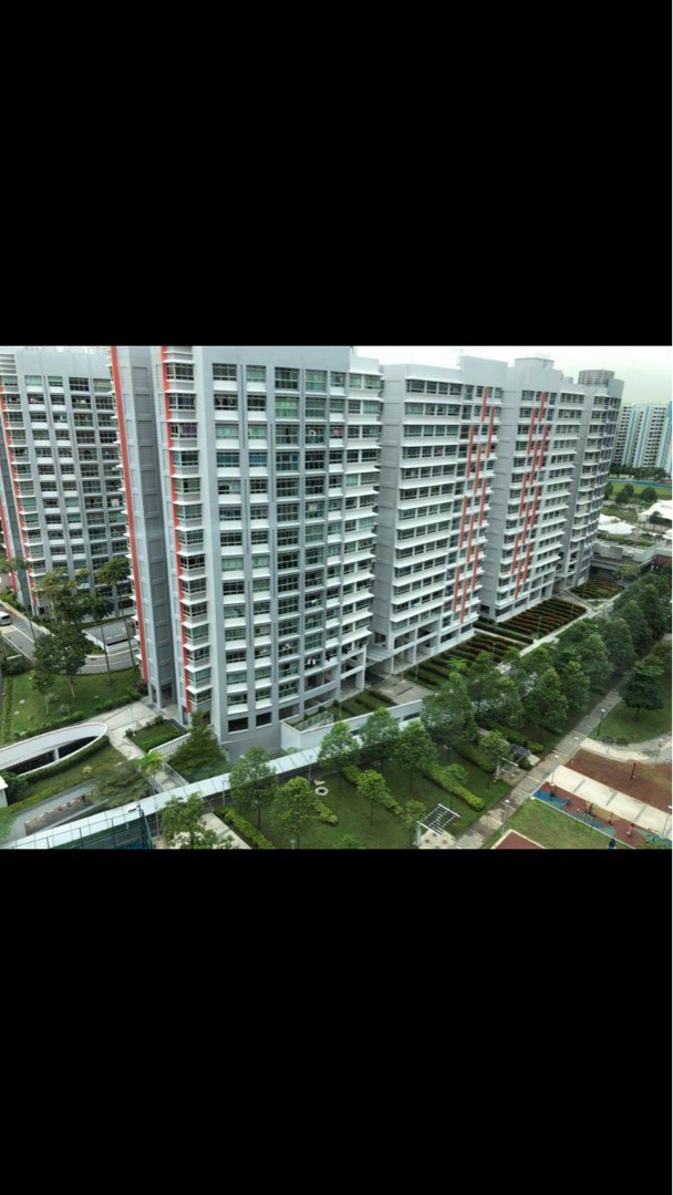 Buangkok crescent room rent For Rent Room Rentals Carousell