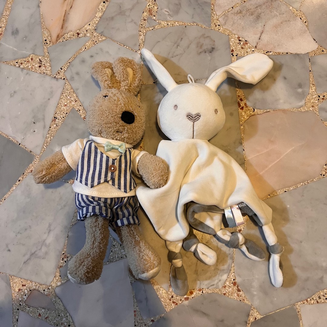 Bunny soother + le sucre bunny, Babies & Kids, Infant Playtime on Carousell