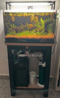 (Category: ) located in . Submitted by imeleviji (Listing ID 1362443874, Image 1). Description: .