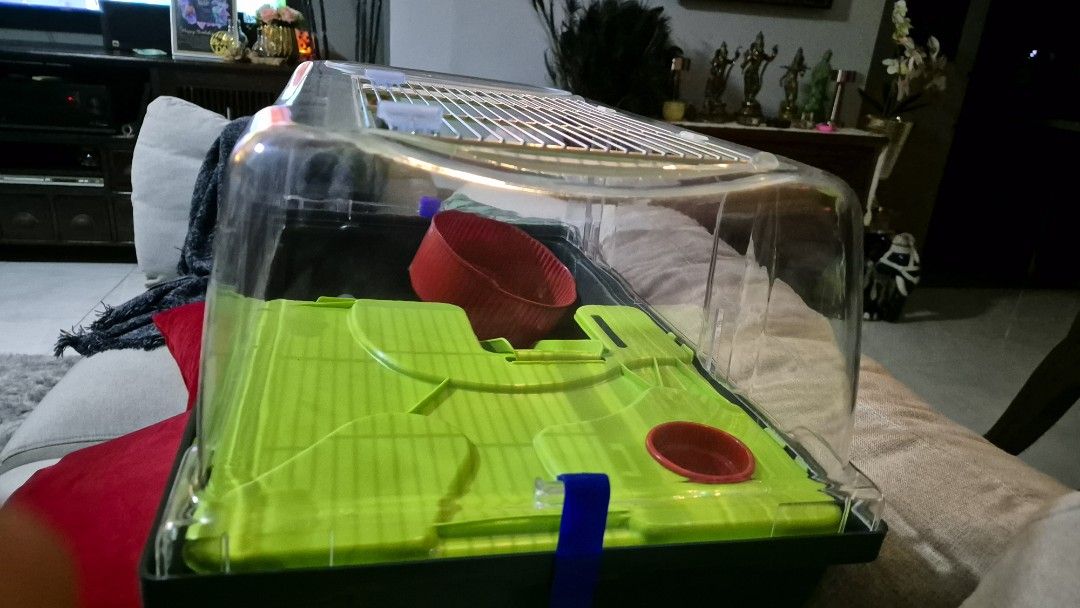 Hamster Cage (Category: Homes & Other Pet Accessories) located in Singapore. Submitted by aanya05 (Listing ID 1362308983, Image 1). Description: Hamster Cage. Lightly used. Only used the box, never used the accesories that came with it (bottle, spinning wheel, green platform, food bowl, ladder). Collection at Jurong West St 42. Dimension: 57×37x31h.