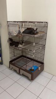 (Category: ) located in . Submitted by fizaaaaaa00000 (Listing ID 1362319563, Image 1). Description: .