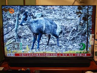 （分類：）位於 。 由 Dyna_udio 提交（商品編號 1362427181，圖片 1）。簡介： 。