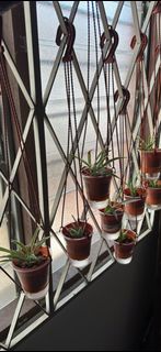 (Category: ) located in . Submitted by meerseniers (Listing ID 1362389177, Image 1). Description: .
