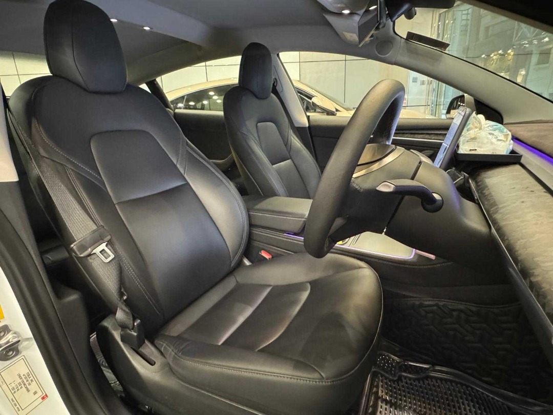 Tesla Model 3 LR Auto62863132770049112