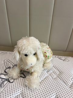（分類：）位於 。 由 catherinebbbbb 提交（商品編號 1362502147，圖片 1）。簡介： 。