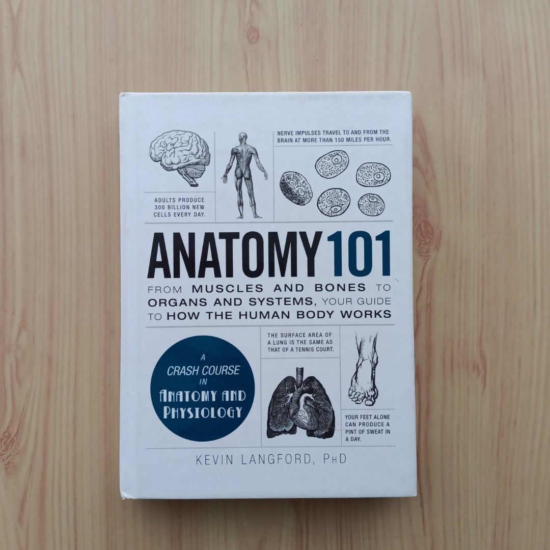 Anatomy 101 by Kevin Langford (Category: Textbooks) located in Mandaluyong City. Submitted by cozycatbookshop (Listing ID 1362603046, Image 1). Description: Authentic. Hardbound Used once for research Condition: - Slight tanning of some pages due to storage 📚 Very good condition, intact pages, no writings or highlights, no spine, no page folds 📚 With glossy pages.