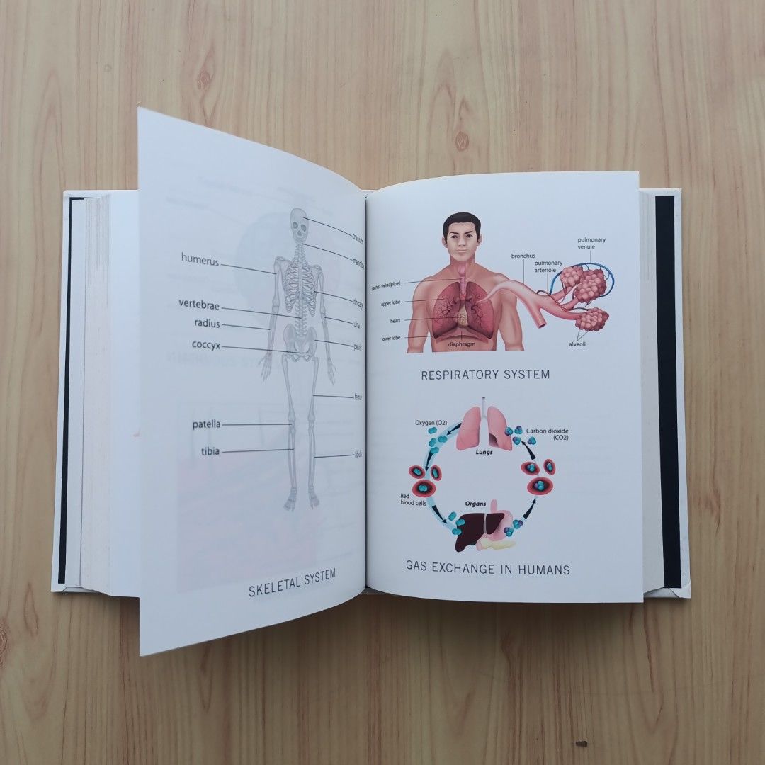 Anatomy 101 by Kevin Langford (Category: Textbooks) located in Mandaluyong City. Submitted by cozycatbookshop (Listing ID 1362603046, Image 2). Description: Authentic. Hardbound Used once for research Condition: - Slight tanning of some pages due to storage 📚 Very good condition, intact pages, no writings or highlights, no spine, no page folds 📚 With glossy pages.
