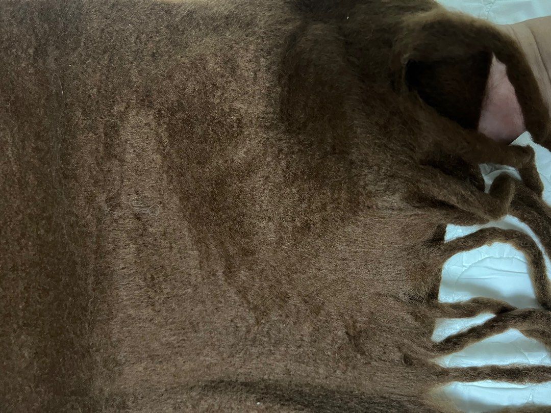 Brown scarf (Category: Coats, Jackets and Outerwear) located in Taguig. Submitted by byemystuff_ (Listing ID 1362558527, Image 2). Description: Never used Good as new.