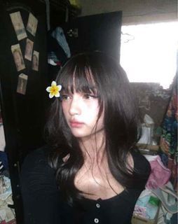 Dark brown Korean style wig