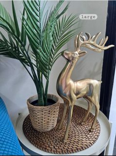 (Category: ) located in . Submitted by bhupenn (Listing ID 1362643987, Image 1). Description: .