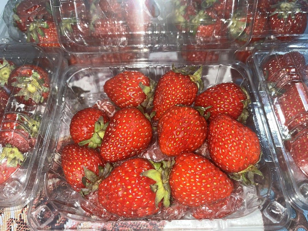 Korean Strawberries (Category: Fresh Produce) located in Imus. Submitted by shaniel.alcantara-96985 (Listing ID 1362587503, Image 2). Description: Sweet, Juicy, and Oh-So-Irresistible! Get your hands on our Fresh Korean Strawberries🍓✨ — bursting with natural sweetness and packed with flavor! Only ₱400💸 for 250g of pure berry bliss! Perfect for snacking, desserts, or gifting yourself a little luxury! Limited stocks only — grab yours now! #Korean