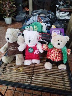 Starbucks Bear