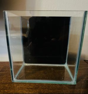 (Category: ) located in . Submitted by ac1515 (Listing ID 1362682925, Image 1). Description: .