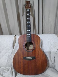 Electric Acoustic Guitar (with Pick up) Thomson