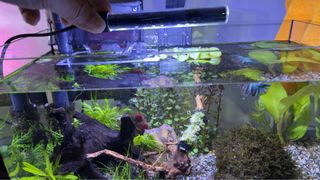 (Category: ) located in . Submitted by ddaktiv (Listing ID 1366610801, Image 1). Description: .