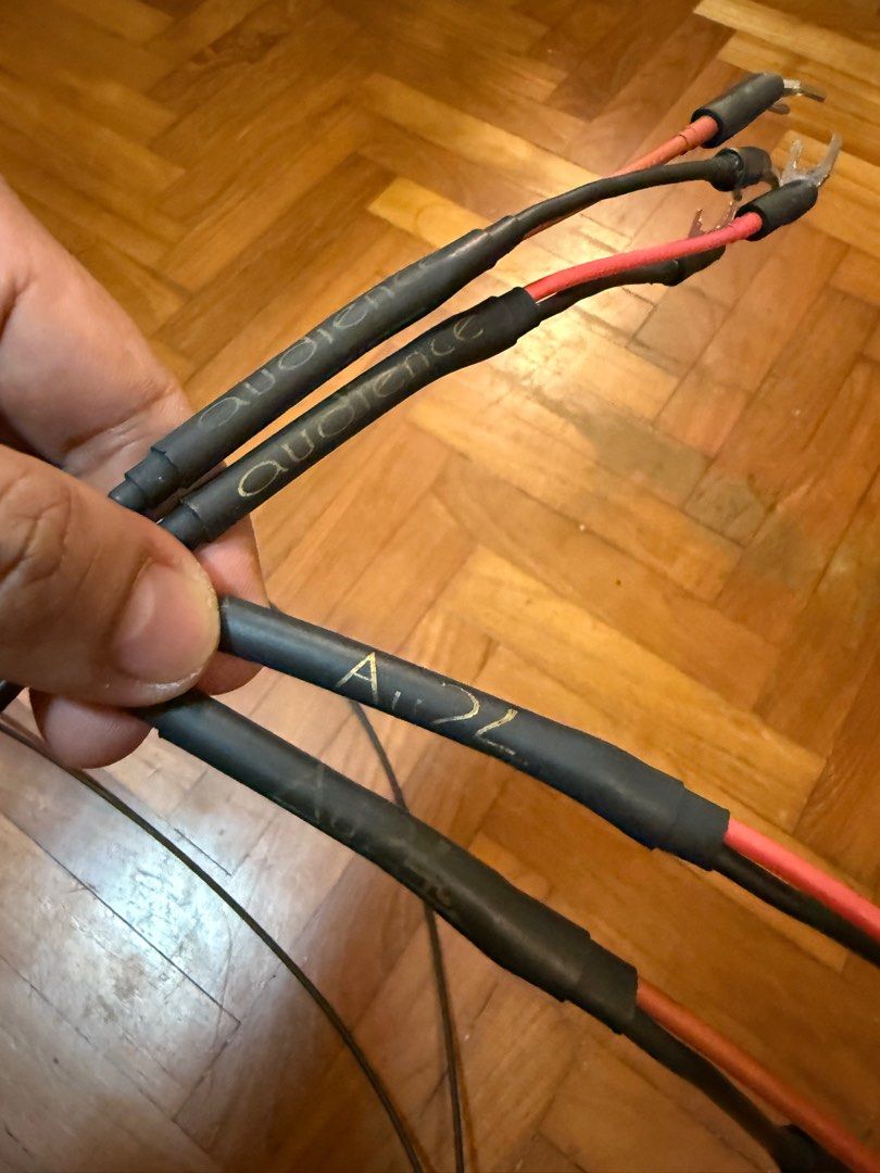 Audience 24 Speaker cable63168004715650112